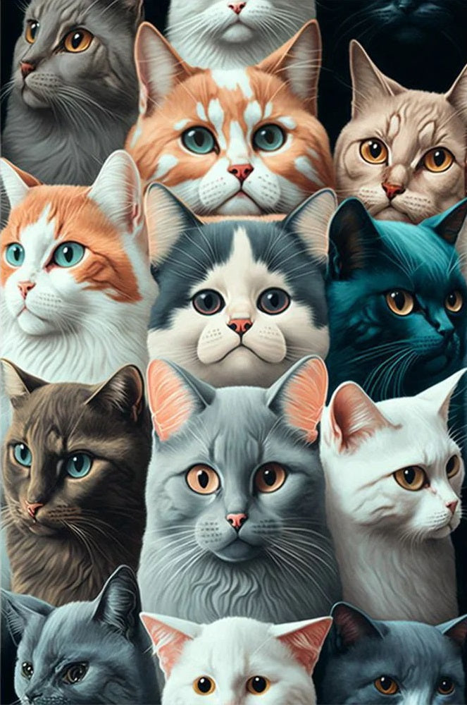 Katten In Een Groep