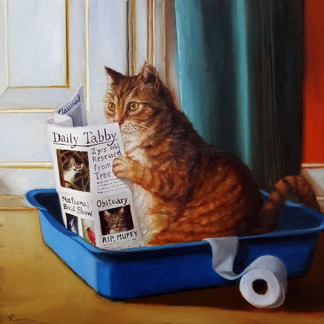 Kat Leest Krant
