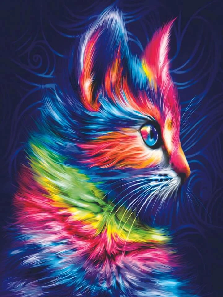 Abstracte Kleurrijke Kat