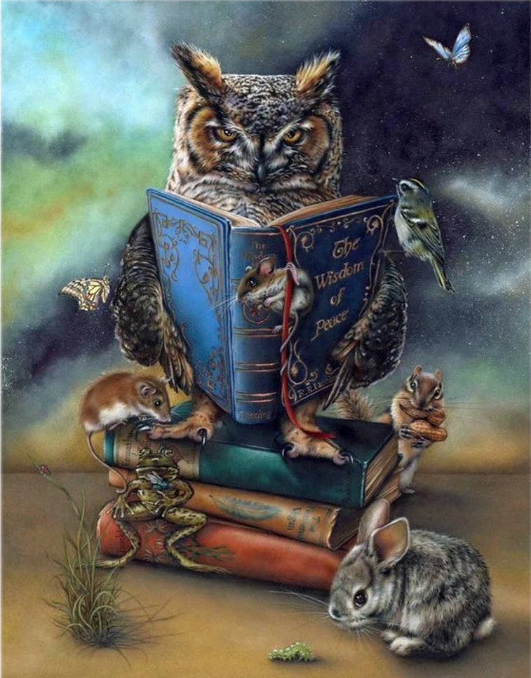 Uil Die Magisch Boek Leest