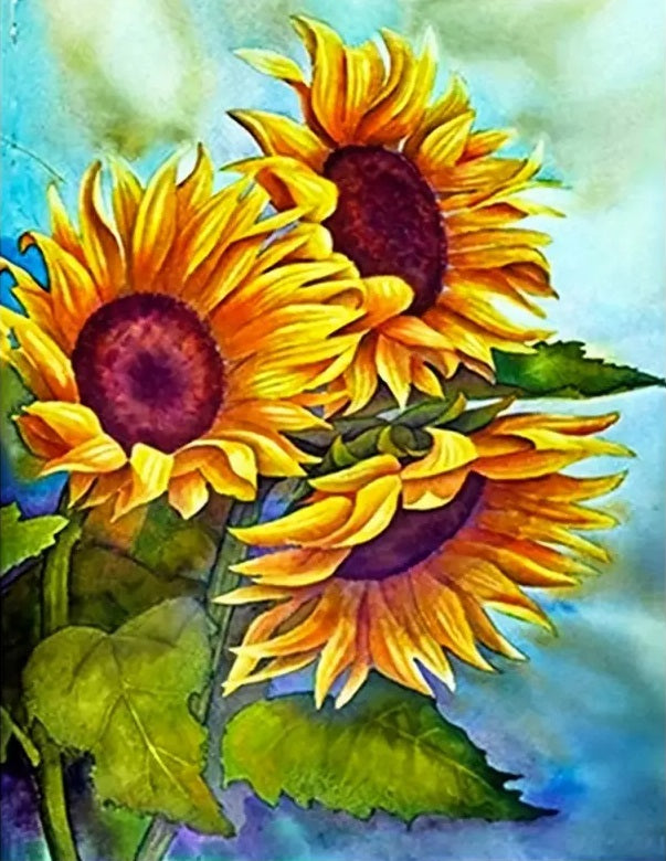 Zonnebloem