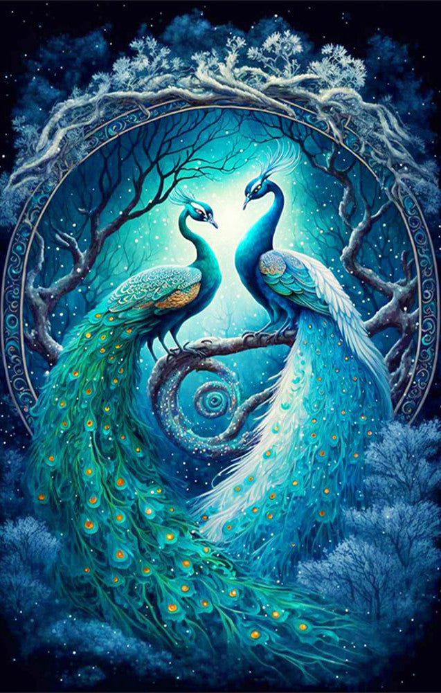 Twee Prachtige Pauwen