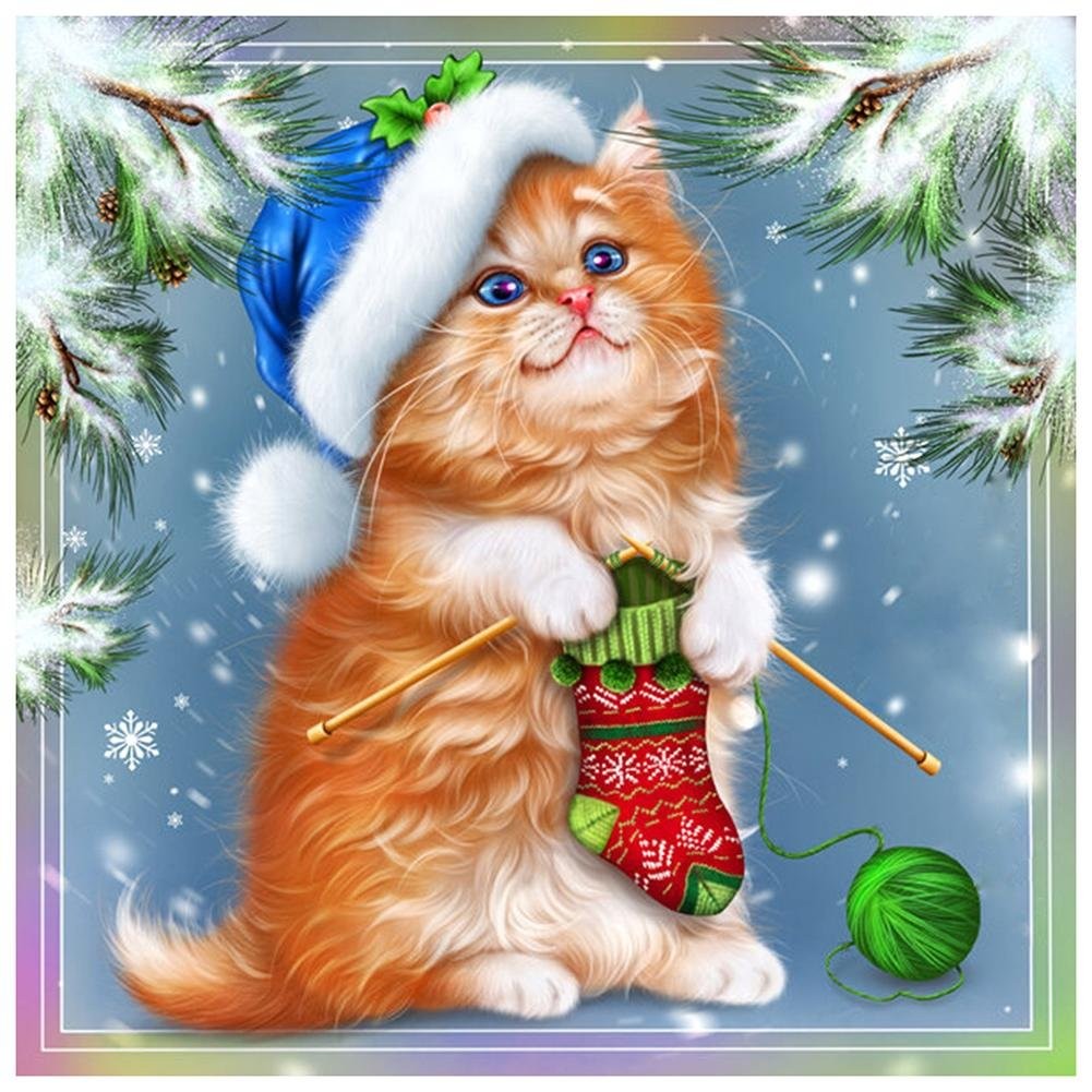 Schattig Katje