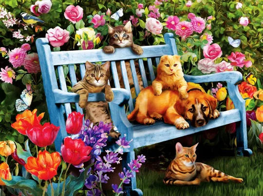 Kittens In De Tuin