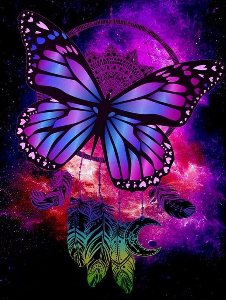 VLINDER DROMENVANGER