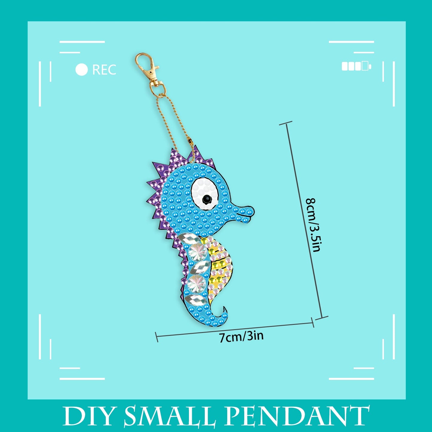 Set van vijf | Vis | Sleutelhanger