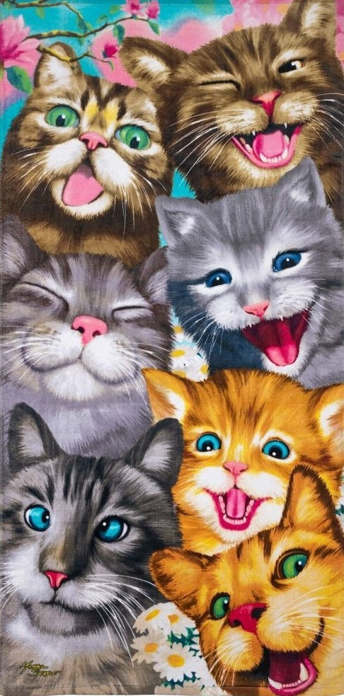 Kattenfeest