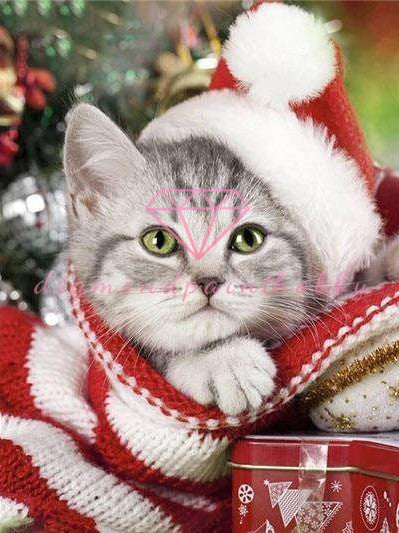 KERST KAT