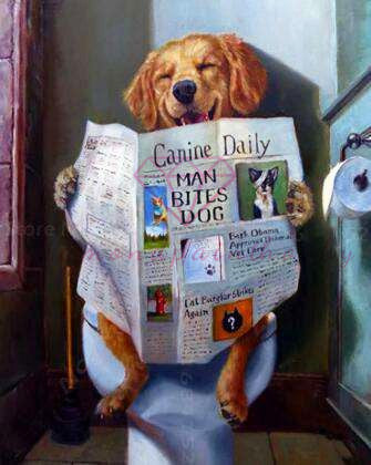 HOND OP TOILET