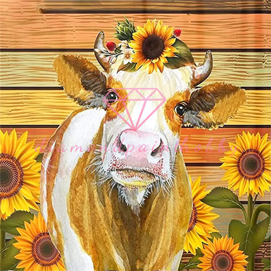 ZONNEBLOEM KOE