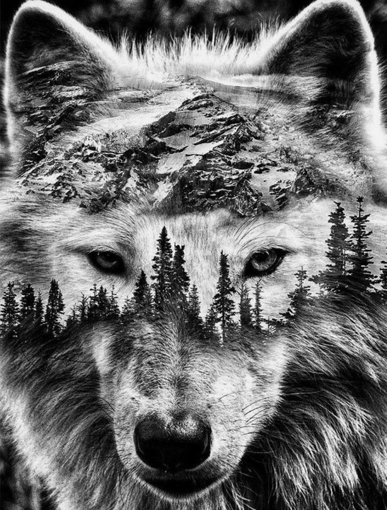 ABSTRACTE WOLF