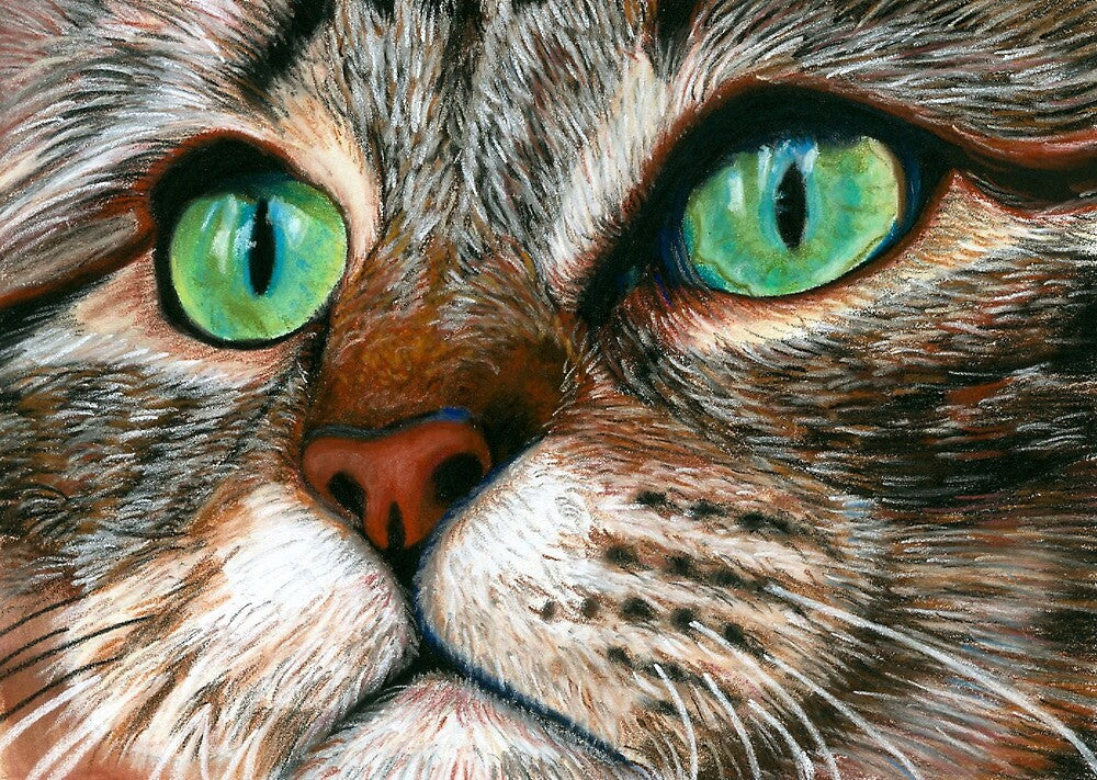 Katten