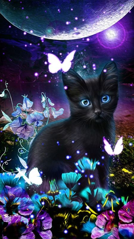 ZWARTE KAT IN DE TUIN