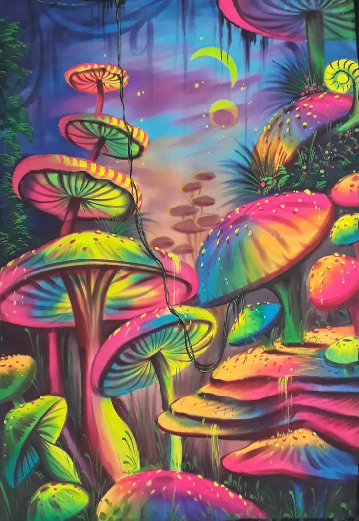 KLEURRIJKE CHAMPIGNONS