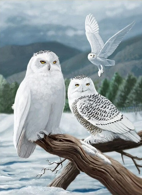 Sneeuwuilen