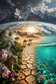 De ecologie van de aarde