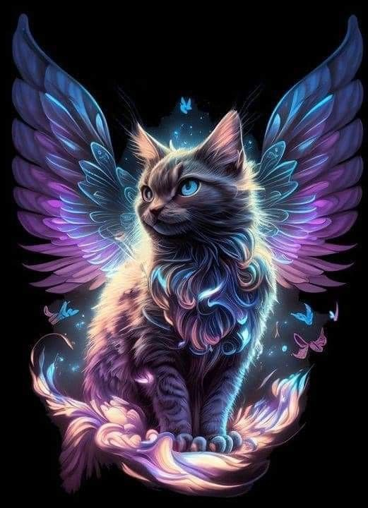 Engel Kat