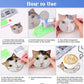 Diamond Painting Onderzetter | Kitten (Set Van 8)