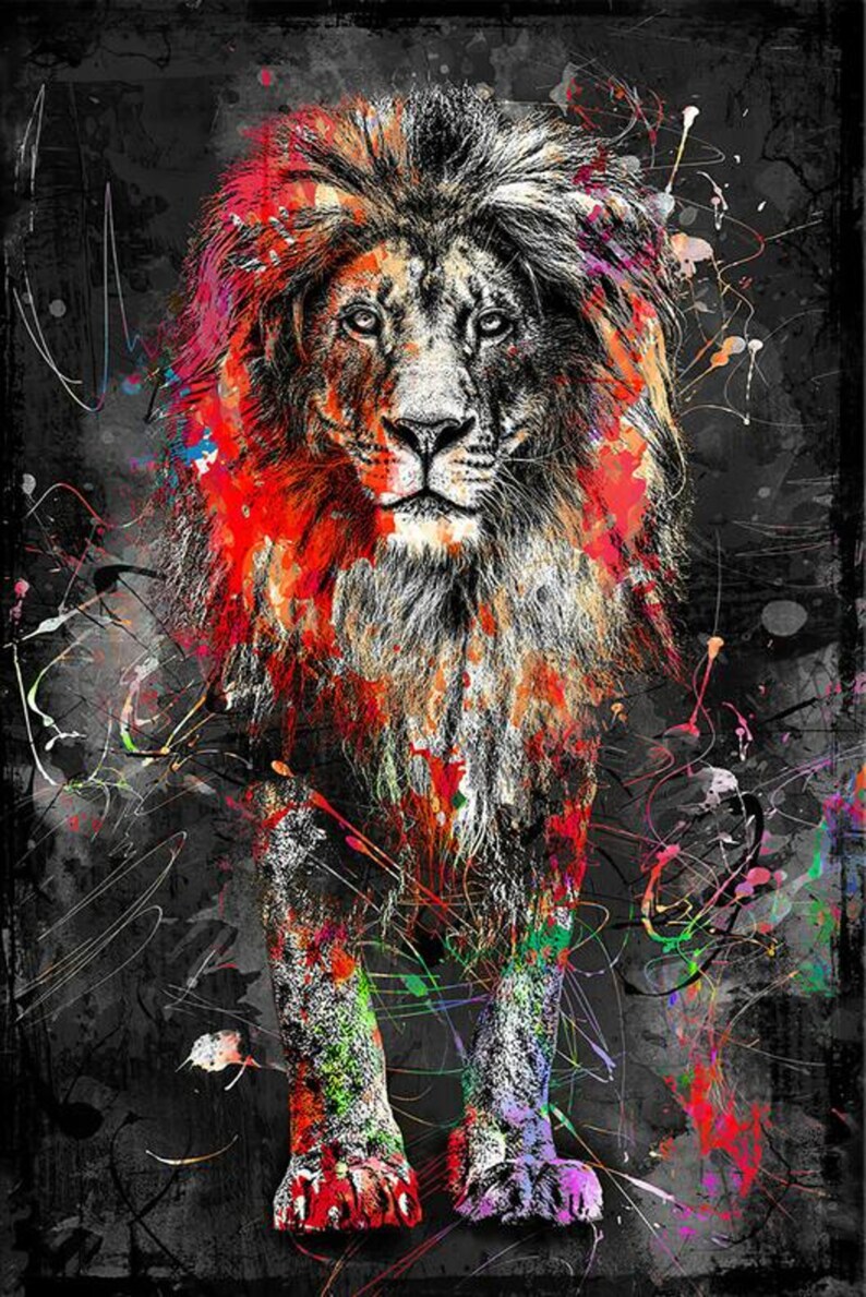 Kleurrijke Kat Diamond Painting | Happy Painting