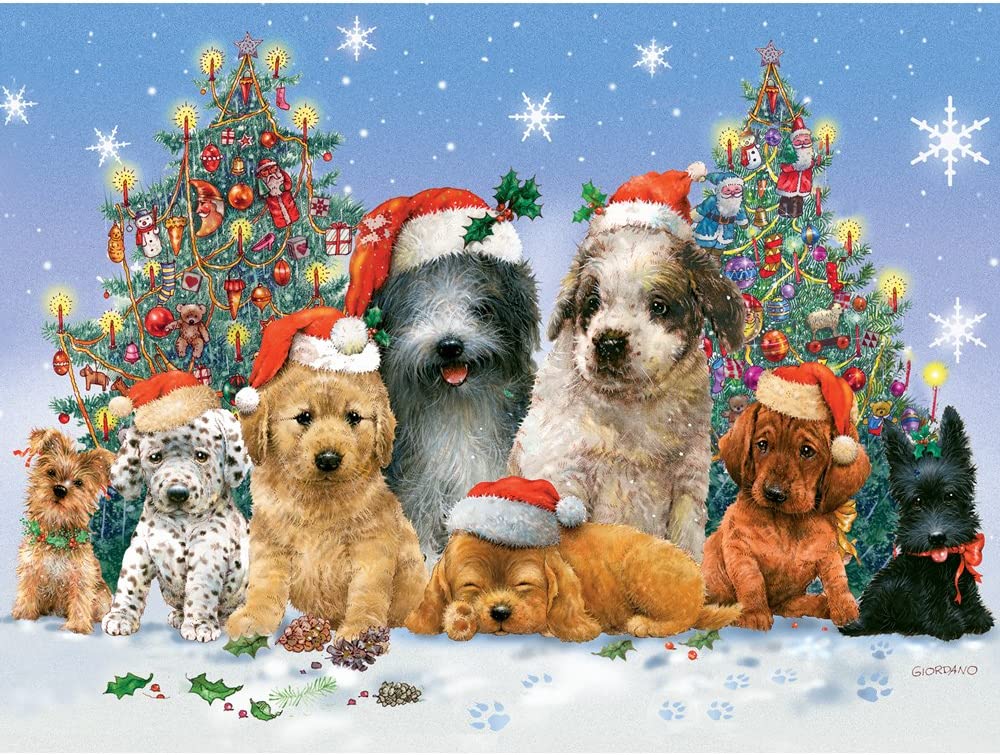 Honden Met Kerstmutsen